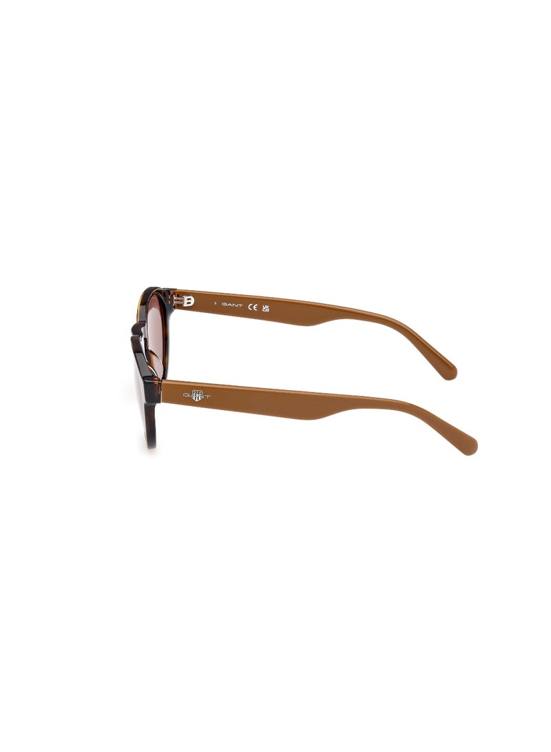 GANT FULL RIM MALE ROUND BROWN ACETATE SUNGLASSES - Image 2